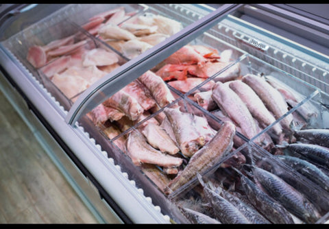 Frozen Fish