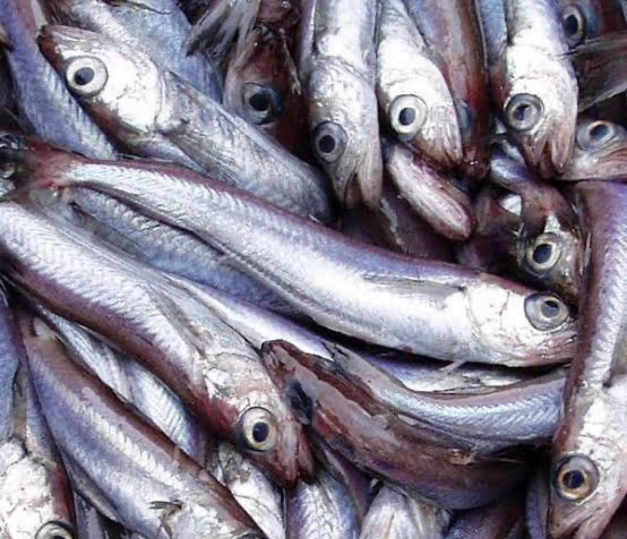 Fresh kpanla(Eja kika)