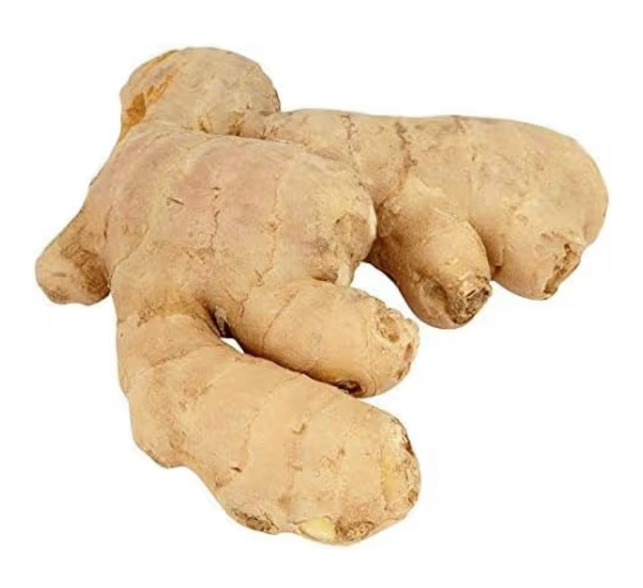 Ginger