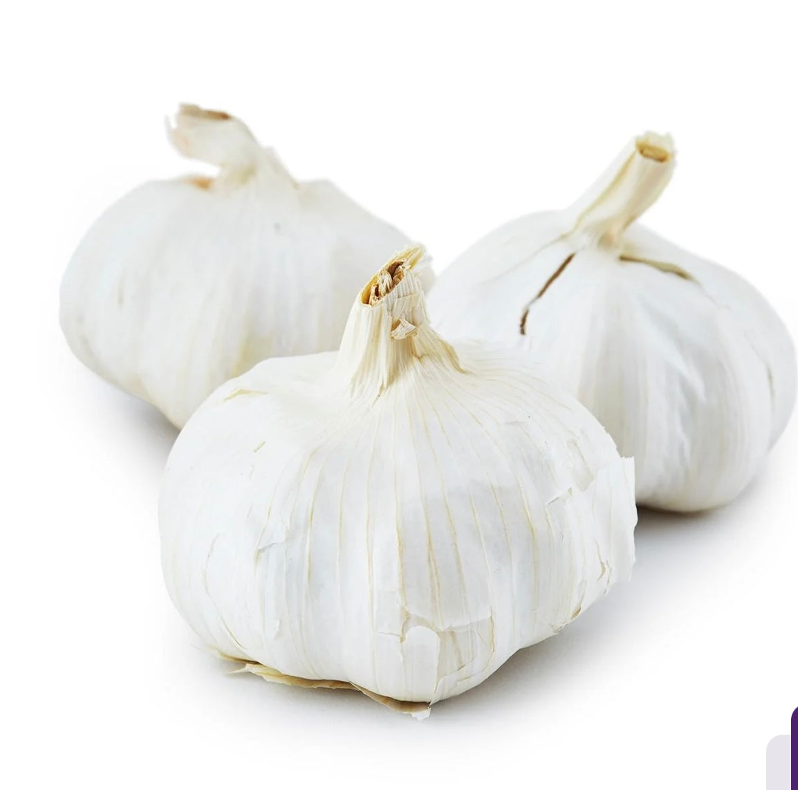 Fresh Garlic