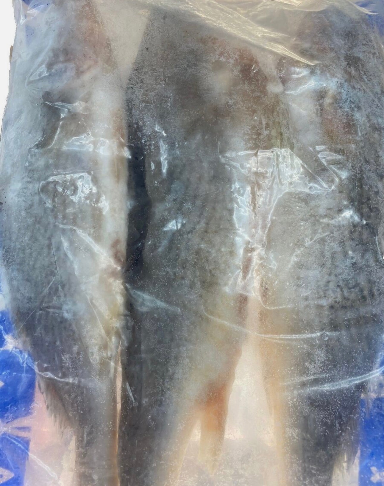 Frozen whole Croaker